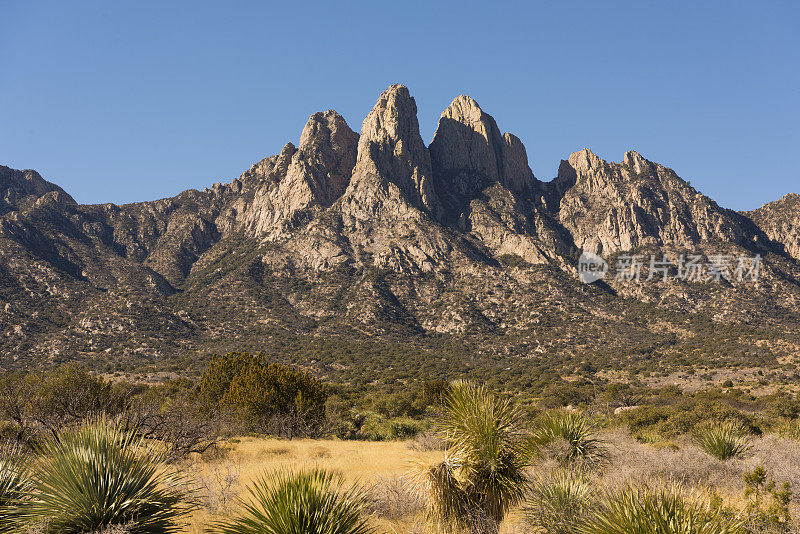 新墨西哥州南部的Organ Mountains